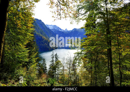 Blick vom Malerwinkel auf Königssee oberen Bayern Deutschland Europa Stockfoto