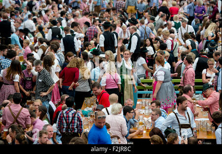 München, Deutschland. 20. Sep, 2015. Besucher Vergnügen sich in einem Bierzelt auf dem 182. Oktoberfest in München, Deutschland, 20. September 2015. Die weltweit größte Bier-Festival, 4. Oktober 2015 abgeschlossen wird, wird voraussichtlich rund 6 Millionen Besucher aus aller Welt in diesem Jahr gewinnen. Foto: SVEN HOPPE/Dpa/Alamy Live News Stockfoto