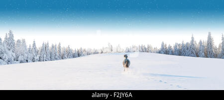 Weißes Pferd laufen in Winterlandschaft Stockfoto