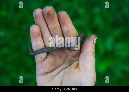 Kind blondes Girl Holding Regenwurm draußen im Garten, Porträt, Sommer, Hand, Garten, Natur Stockfoto