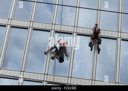 Zwei Industriekletterer (Seil Reinigungspersonal) saubere Fenster in einem Bürogebäude im Charles Square in Prag, Tschechische Republik. Stockfoto