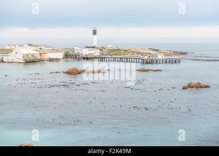 DOORNBAAI, Südafrika, 12. August 2015: der Hafen von Doornbaai (Thorn Bay) an der atlantischen Küste Südafrikas. Wein-Kellerprogramm Stockfoto