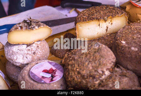 Italienische Käse bedeckt eine Schicht Heu oder Schlacke Stockfoto