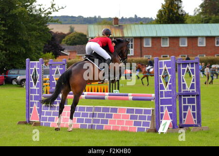 Pferd springen auf der Henley, Henley, UK, 09.12.2015 Stockfoto