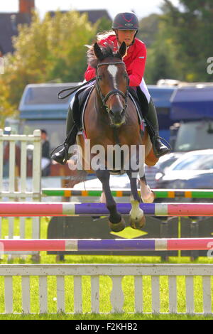 Pferd springen auf der Henley, Henley, UK, 09.12.2015 Stockfoto