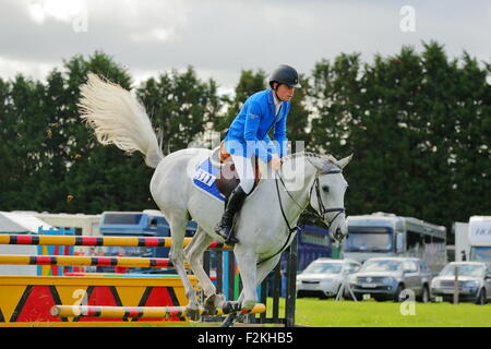 Pferd springen auf der Henley, Henley, UK, 09.12.2015 Stockfoto