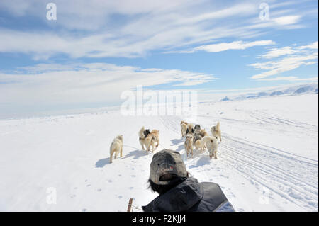 Husky Schlittenhunde Person gesehen von hinten am Meer vor Schlitten mit Eis, Baffinbucht, Nunavut, Kanada. Stockfoto