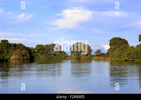 Rio Pixaim Pantanal, Fluss, Flusslandschaft, Pantanal, Mato Grosso, Brasilien Stockfoto