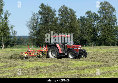 Traktor drehen Heu, Benediktbeurer moor, Benediktbeuern, Upper Bavaria, Bavaria, Germany Stockfoto