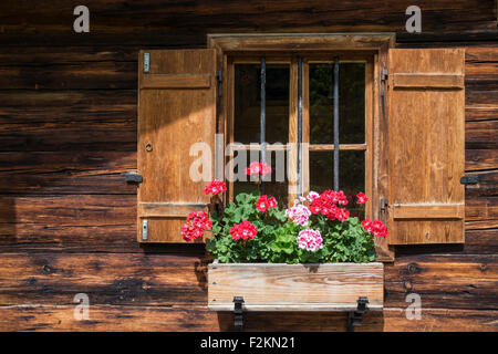 Geranien am Fenster eines Bauernhauses, Eng, Eng-Alm, Karwendel, Tirol, Österreich Stockfoto