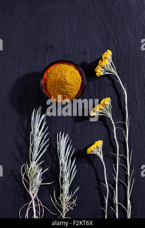 Italienische Everlasting und Schüssel mit Curry-Pulver auf Schiefer Stockfoto