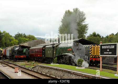 Union of South Africa Dampf Lok vorbereitet für den Abflug bei Holne Bahnhof, Devon, England, UK Stockfoto