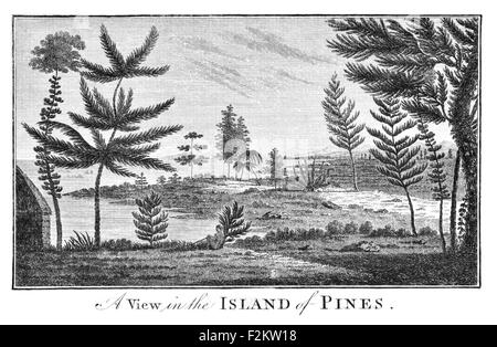 Kapitän James Cook FRS 1728 1779 British Explorer, Navigator, Kartograph, Kapitän der Royal Navy. Insel Kiefern Stockfoto