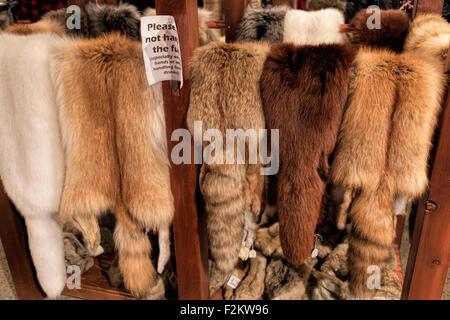 Tier Pelze zum Verkauf an Num-Ti-Jah Lodge & Handelsposten im Banff-Nationalpark, Rocky Mountains, Alberta, Kanada, Nordamerika. Stockfoto