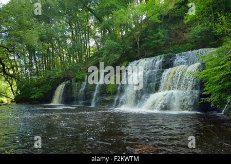 Sgwd y Pannwr, einer der vier wichtigsten Wasserfälle auf der Afon Mellte Fluss, Brecon Beacons, Wales Stockfoto