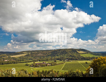 Denbies Wine Estate Dorking. Stockfoto