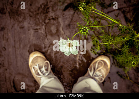 Blume und Mannes Füßen im Schlamm stehen Stockfoto
