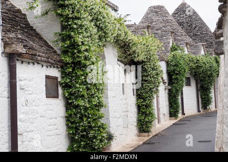 Trulli im Stadtteil Monti in Alberobello. Stockfoto