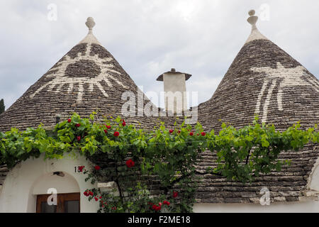 Kegeldach aus Trulli im Stadtteil Monti in Alberobello Stockfoto