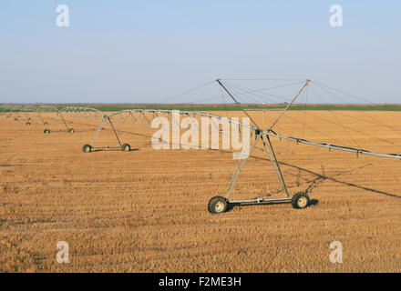 Bewässerung Sprinkler Bewässerung Feld, Po River Delta, Veneto, Italien Stockfoto