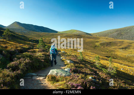 Eine Gehhilfe, Klettern in Richtung Cairn man von Coire Cas, Cairngorm National Park, Badenoch & Speyside Stockfoto