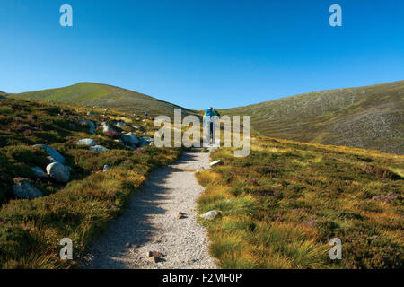 Eine Gehhilfe, Klettern in Richtung Cairn man von Coire Cas, Cairngorm National Park, Badenoch & Speyside Stockfoto