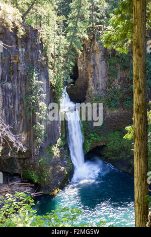 Beautiful Toketee Falls in Oregon, Foto an einem klaren Tag mit lebendigen Farben Stockfoto