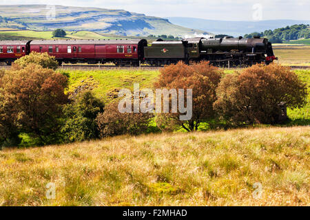 Die Fellsman geschleppten 46115 Scots Gardist und Herbst Farbe in der Nähe von Ribblehead Yorkshire Dales North Yorkshire England Stockfoto