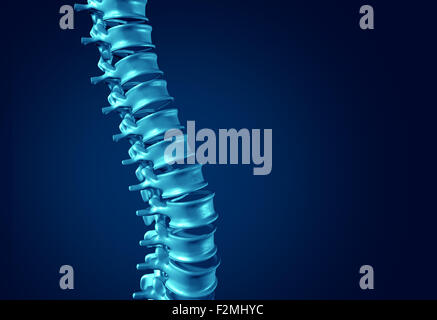 Menschlichen Wirbelsäulenkonzept als medizinische Gesundheitsversorgung Anatomie-Symbol mit der Wirbelsäule Skelett Knochen Struktur Nahaufnahme auf dunkelblauem Hintergrund als leere Kopie Raum. Stockfoto