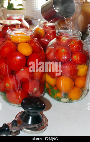 rote schmackhafte Tomaten in Gläser vorbereitet für die Erhaltung Stockfoto