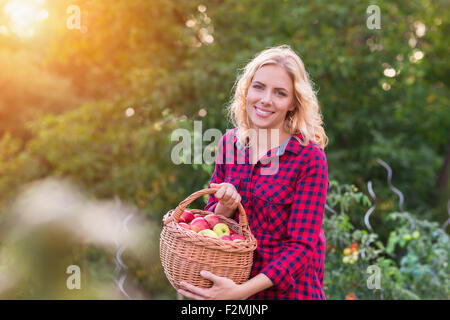 Schöne junge Frau im roten t-Shirt Äpfel ernten Stockfoto