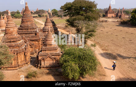 Blick vom Kay Min Gha-Pagode in Bagan Myanmar. Eine Frau zu Fuß auf Feldweg zwischen Pagoden trägt einen großen Korb auf dem Kopf. Stockfoto