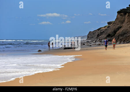 Graben Plains Strand Montauk Long Island NewYork Stockfoto
