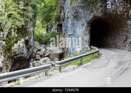 Hand geschnitzt alt, Tunnelstraße in Slowenien. Stockfoto