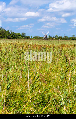 Windmühle bei Wicken Fen, ein Feuchtgebiet Naturschutzgebiet in der Nähe von Wicken, Cambridgeshire, England, UK Stockfoto