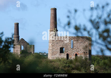 Zinn-Mine Gebäude Stockfoto