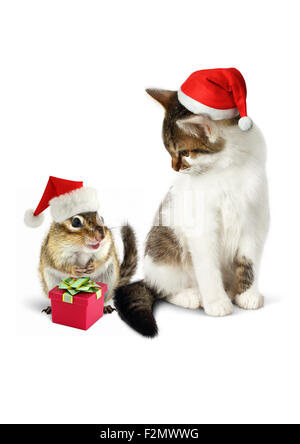 Comic-Xmas-Pet, Lustige Streifenhörnchen und Katze gekleidet Weihnachtsmütze Stockfoto