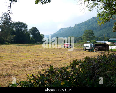 Ackerland in Conwy Valley in der Nähe von Llanwrst, North Wales, UK. Stockfoto