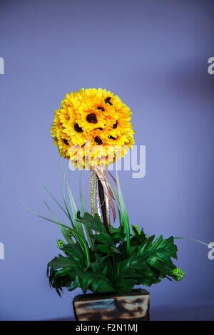 Sonnenblumen in einer Vase Stockfoto