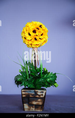 Sonnenblumen in einer Vase Stockfoto