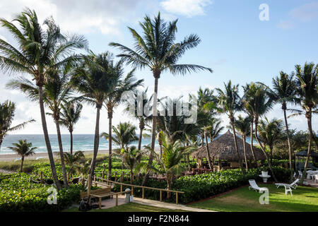 Delray Beach Florida, Wright by the Sea, Hotel, alt, Palmen, Atlantischer Ozean, FL150414001 Stockfoto