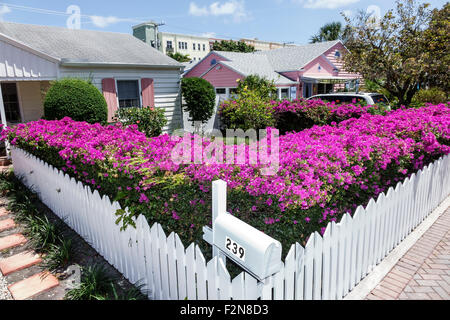Delray Beach Florida, historische Bankers Row, Nachbarschaft, Bougainvillea, Häuser, Häuser, weißer Pfostenzaun, FL150414014 Stockfoto