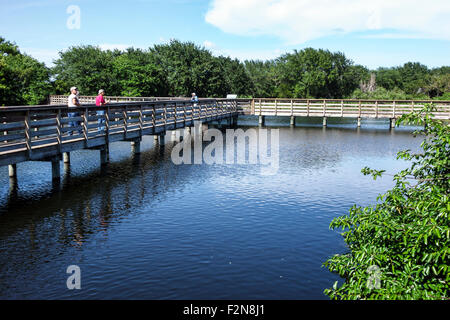 Delray Beach Florida, Wakodahatchee Wetlands, Natur, Naturschutzgebiet, erhöhte Promenade, Wasser, Besucher reisen Reise Tour Tourismus Wahrzeichen c Stockfoto