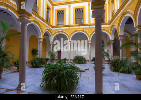 frische Innenhöfe mit Blumen und Tor, die typisch für die Häuser in der Stadt von Sevilla, Spanien Stockfoto