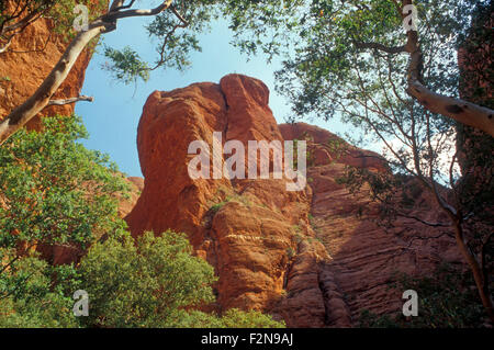 CATHEDRAL GORGE IN DEN PURNULULU NATIONAL PARK, KIMBERLEYS, WESTAUSTRALIEN Stockfoto