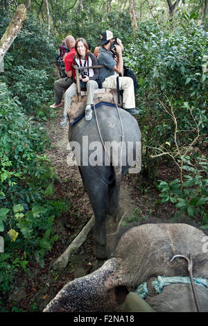 Elefantenritte sind eine der Hauptattraktionen der Chitwan in Nepal Chitwan Nationalpark Stockfoto