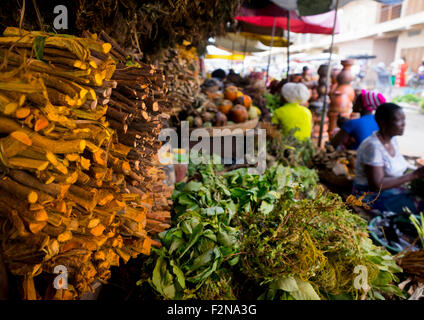 Benin, Westafrika, Cotonou, Kräuter in der traditionellen Medizin in Dantokpa Markt Stockfoto