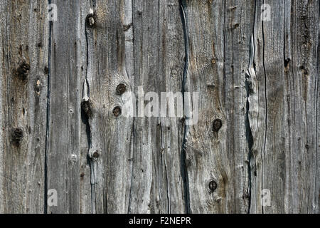 Alten verwitterten Holzplanken, Holzlatten, auf einer alten Scheune, Benediktbeuern, Upper Bavaria, Bavaria, Germany Stockfoto
