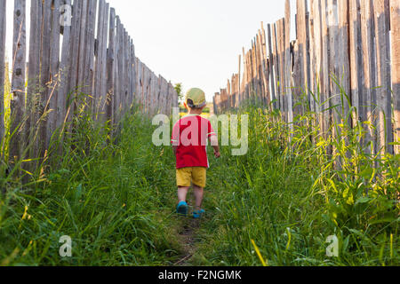 Mari junge Gras zwischen Zäunen zu Fuß Stockfoto