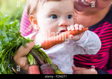 Kaukasische Mädchen spielen mit frischen Karotten Stockfoto